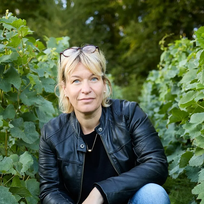 Domaine des Arondes